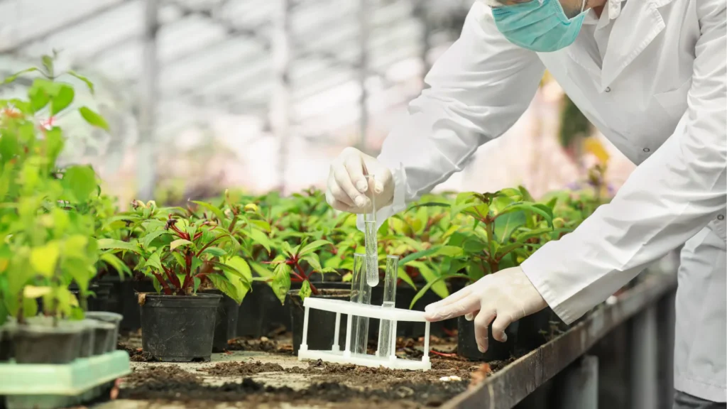 Ayudas a la mejora de los procesos de transformación y comercialización de los productos agroalimentarios 2025
