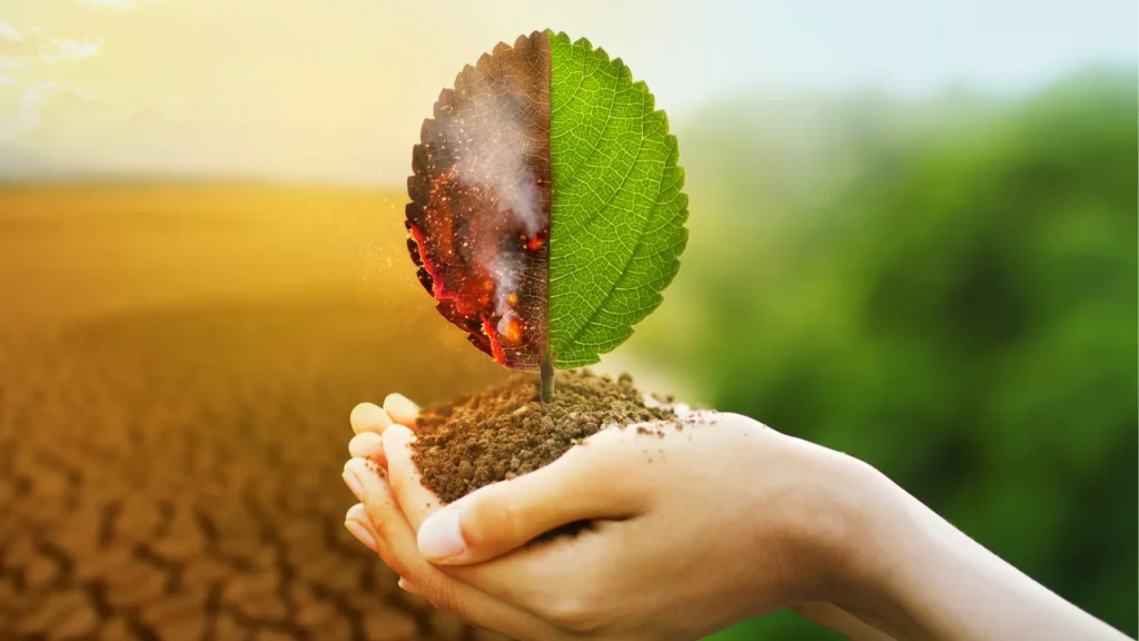 Subvenciones Cataluña para proyectos de innovación tecnológica Green. Cambio climático 2025