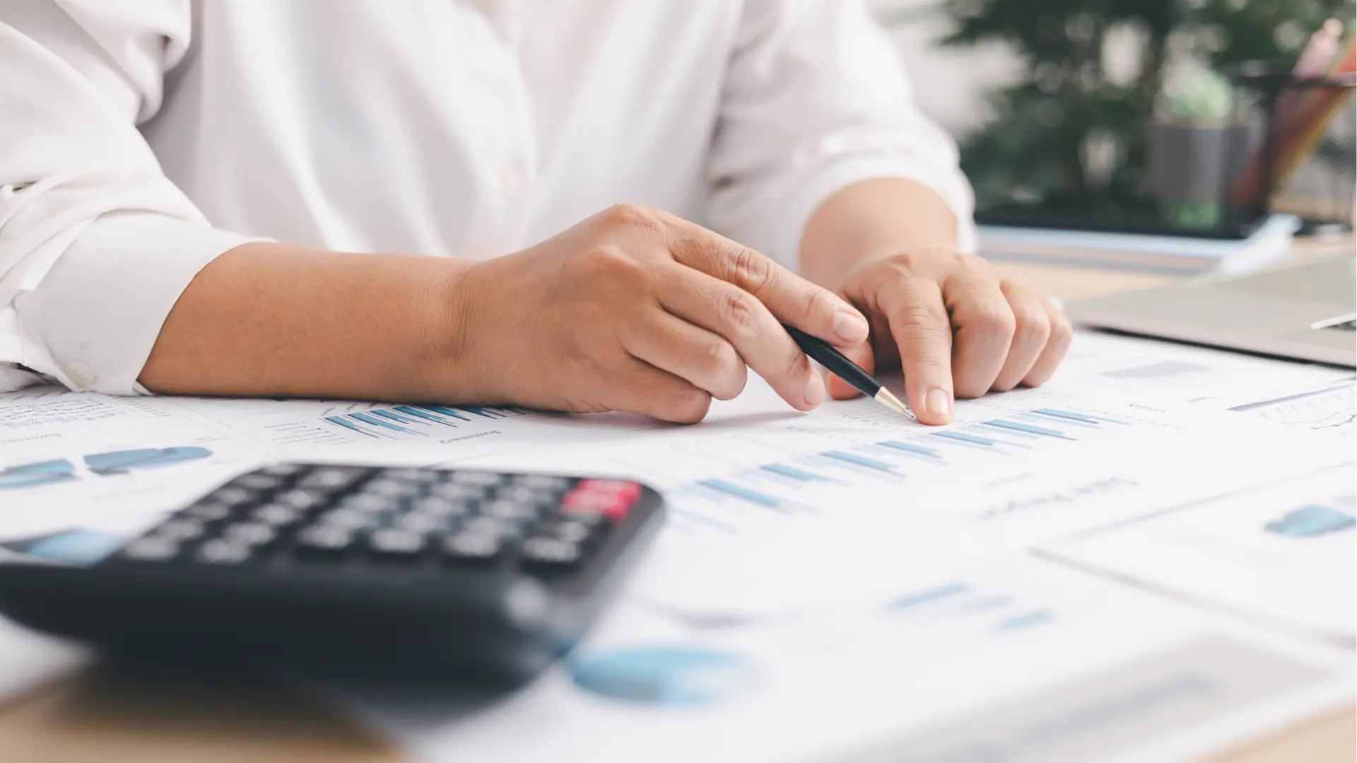 Impuestos Locales para Empresas
